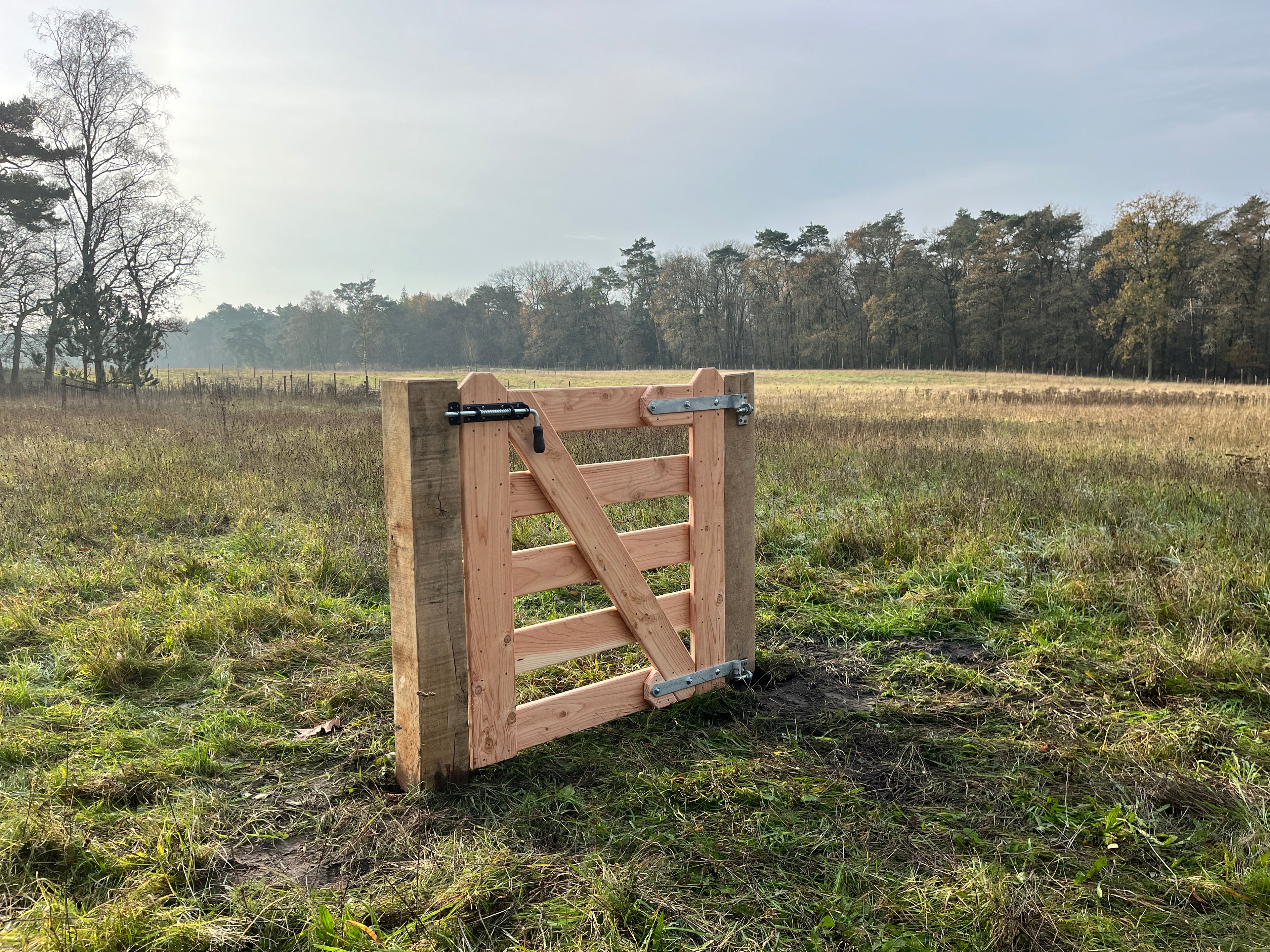 Douglas Erf Looppoort