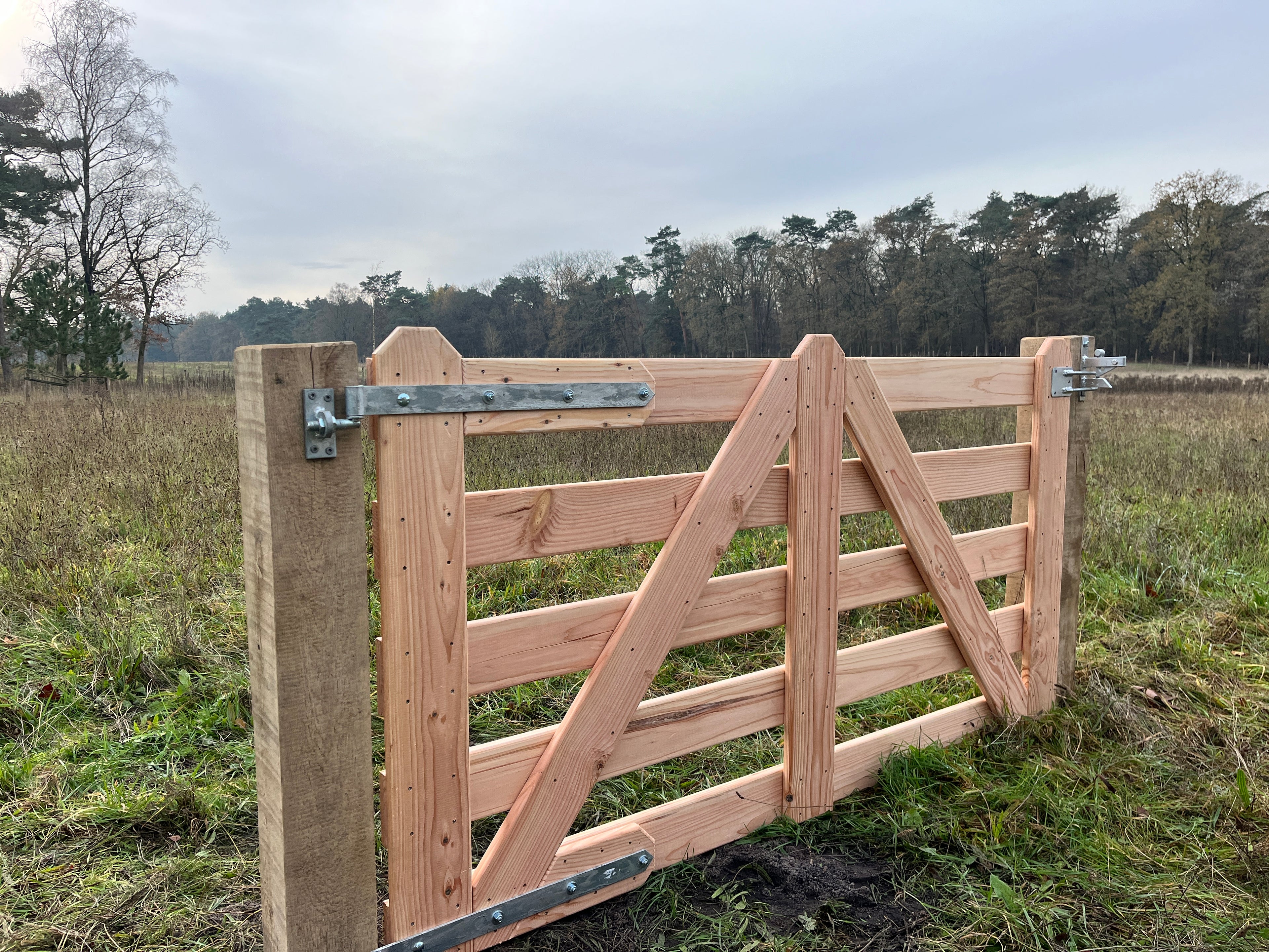 Douglas robuust toegangspoort.