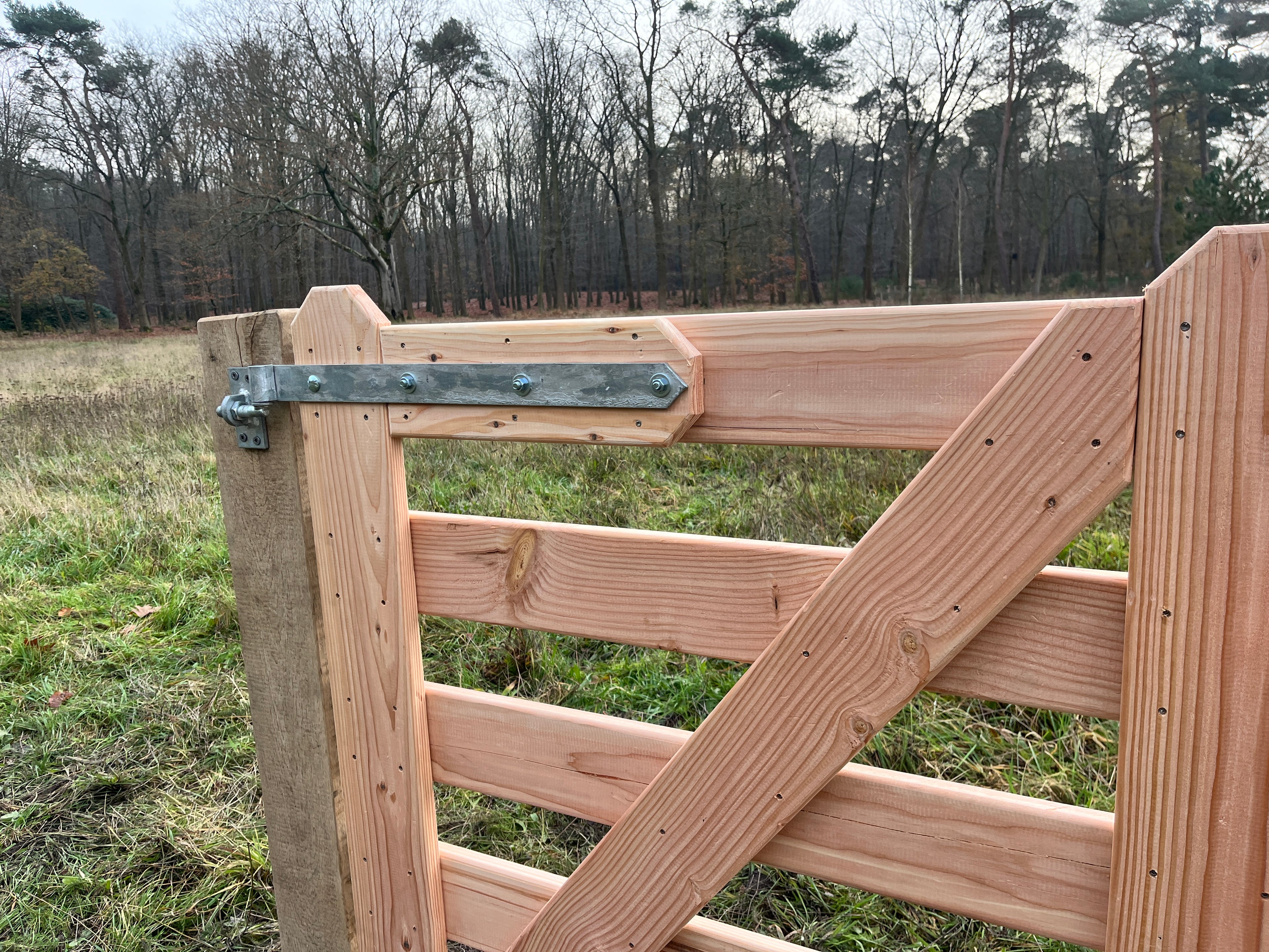 Douglas robuust toegangspoort.