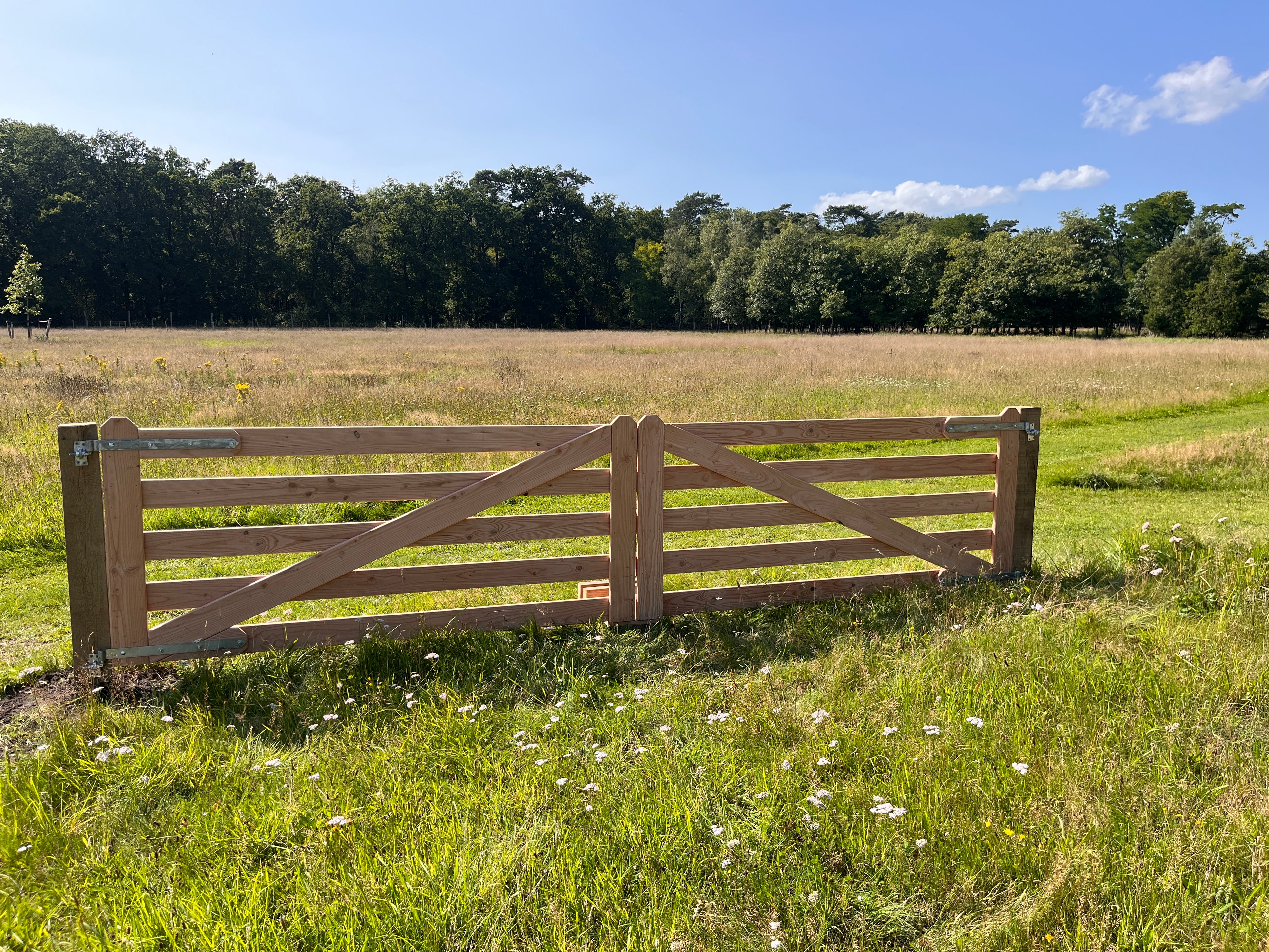 Douglas robuust dubbele poort.