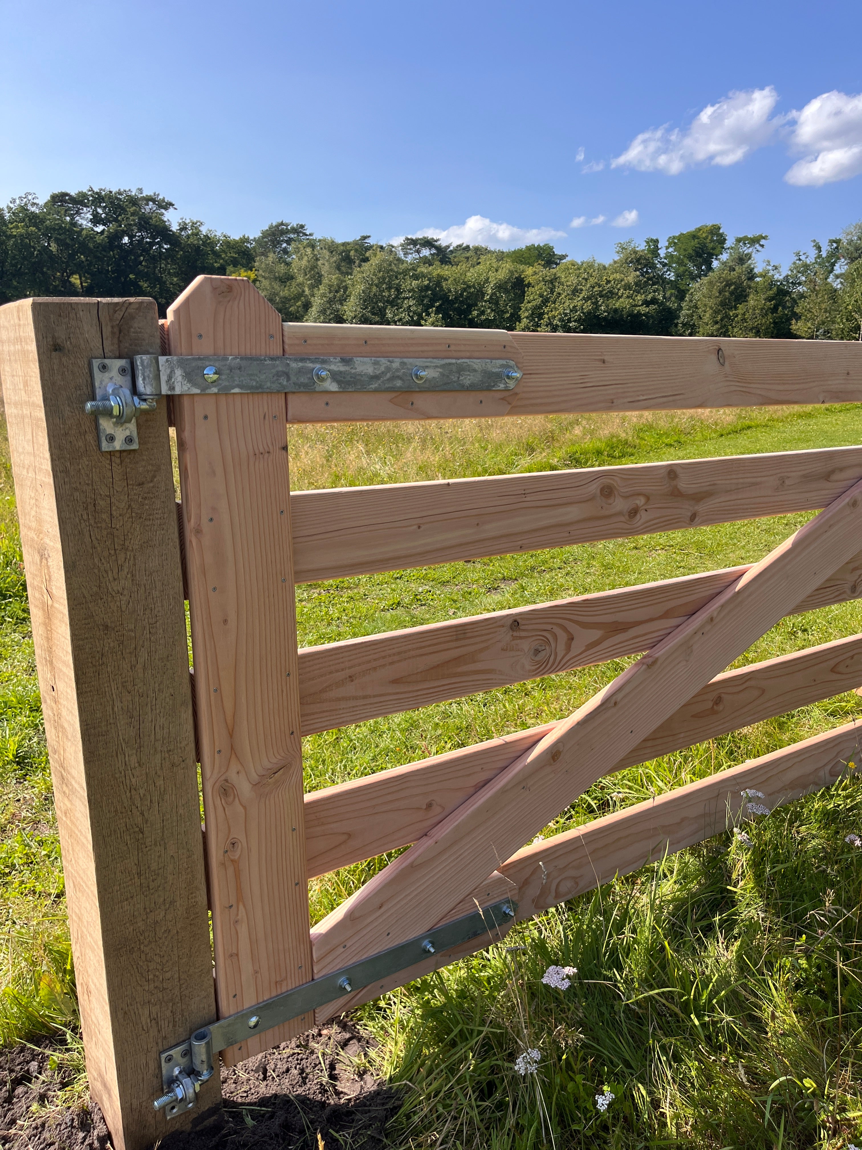 Douglas robuust dubbele poort.