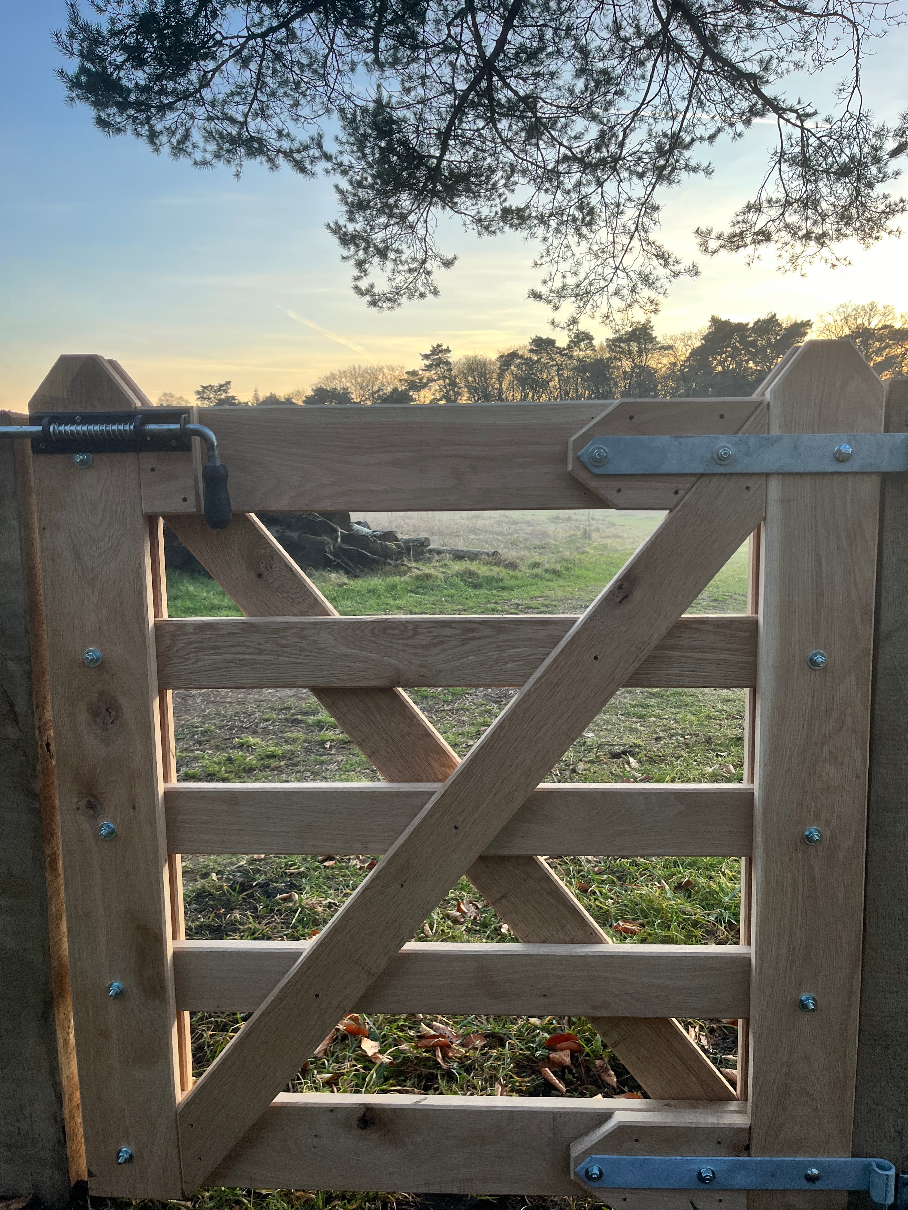 Eiken klassieke looppoort