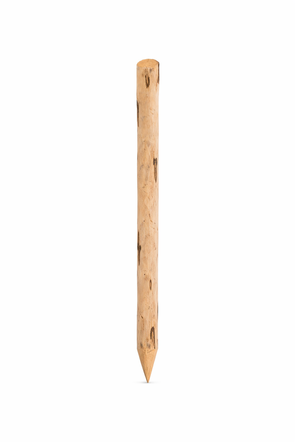 Kastanje paal 6-8 cm voor erfafscheiding en tuin
